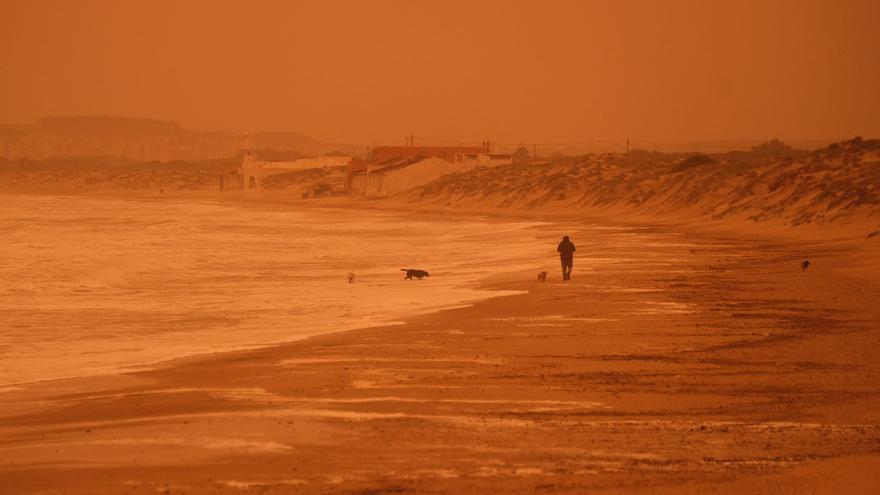 La borrasca &quot;Celia&quot; tiñe de amarillo con polvo del desierto los cielos de Alicante en una situación de la que no había precedentes
