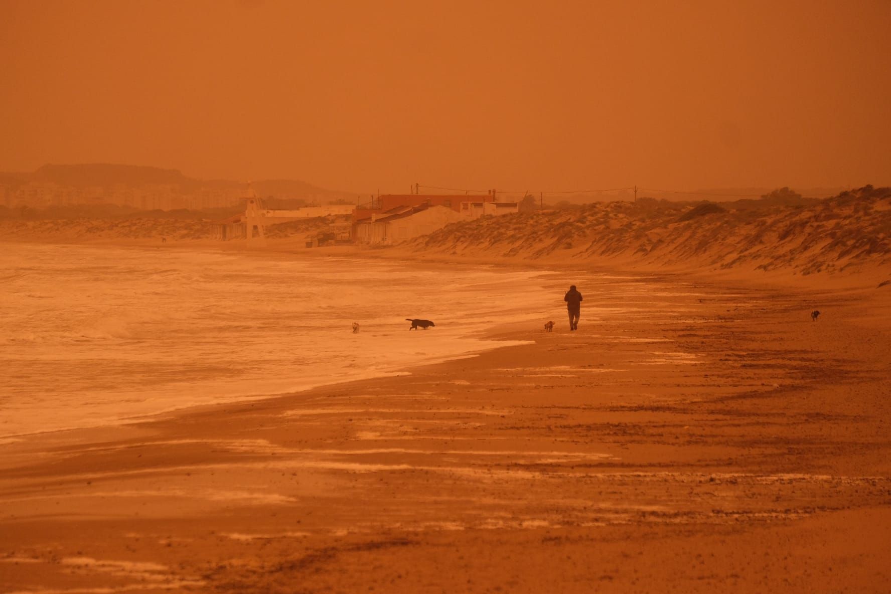 Polvo sahariano sobre La Marina