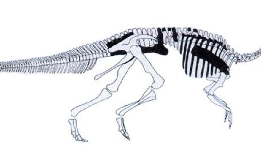 Dibujo de un hadrosaurio. La extinción en masa de hace 65 millones de años no acabó con todos los dinosaurios y algunos lograron sobrevivir medio millón de años más, según un geocronólogo estadounidense.