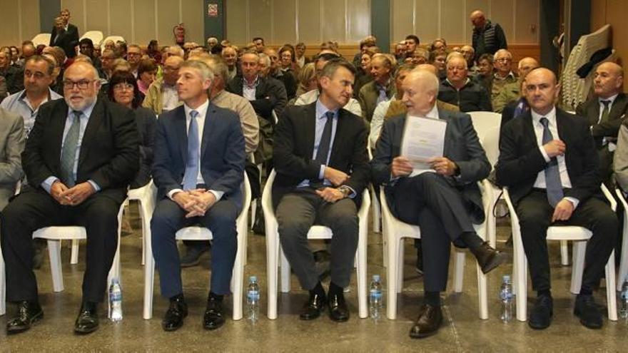 Tres cooperativas de Gandia, Oliva y Pego se unen buscando rentabilidad a los cítricos