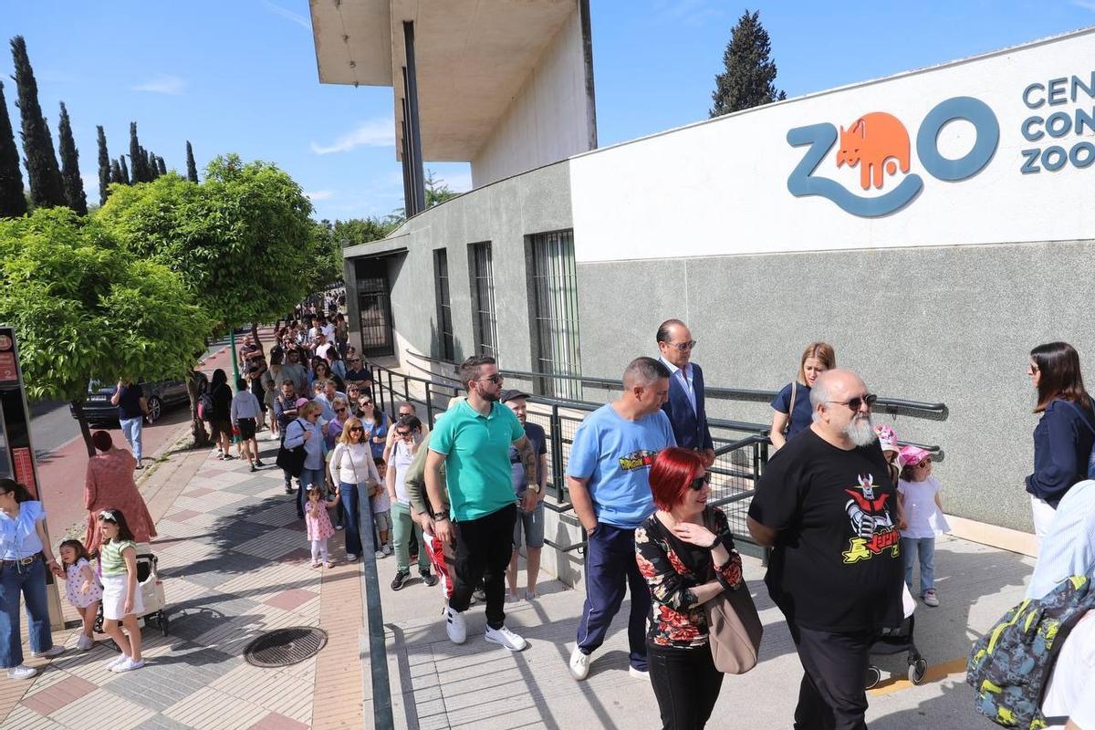 Imagen de la cola para entrar en el zoo de Córdoba poco antes de las 12.00 horas.
