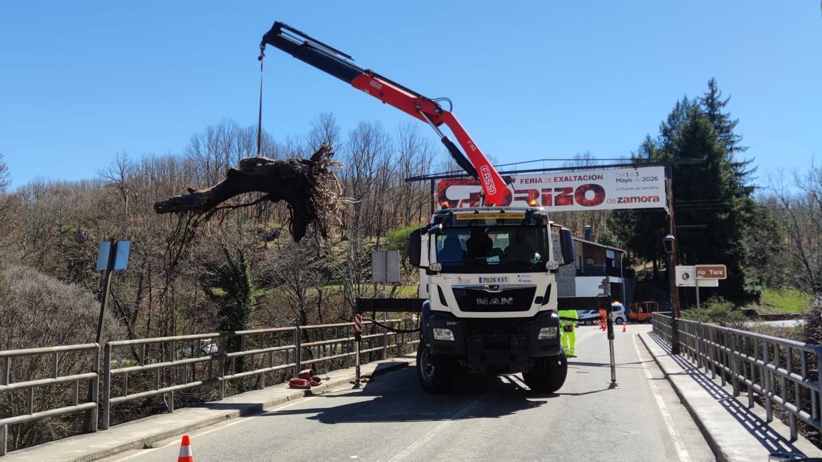 Un camión con grúa retira el árbol depositado junto a una pilastra del puente.