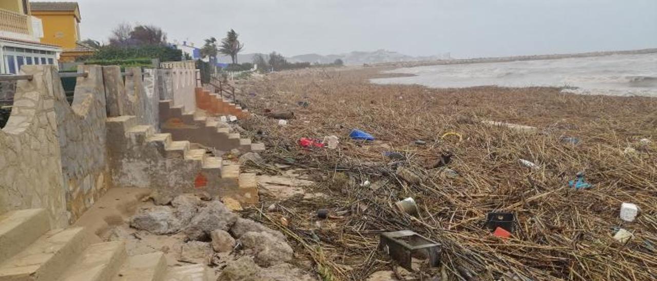 Así quedó la playa tras la última Dana: cañizo y restos de basura inundaron la orilla. | LEVANTE-EMV