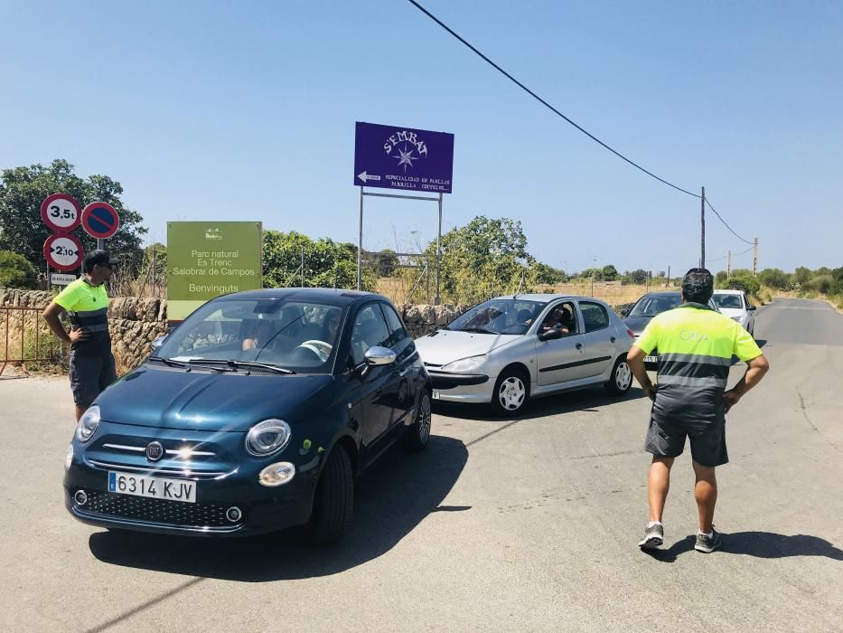 Colapso de vehículos para llegar a las playas de es Trenc y ses Covetes de Campos