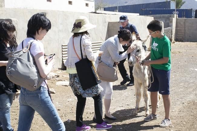 FUERTEVENTURA - 14 EXPERTOS EN QUESOS VISITAN LA QUESERIA DE JULIAN DIAZ EN FUERTEVENTURA - 21-06-16