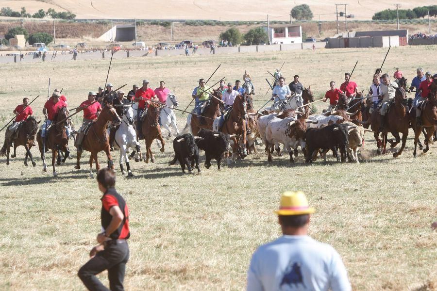 Fiestas en Zamora: Segudos espantes de Fuentesaúco