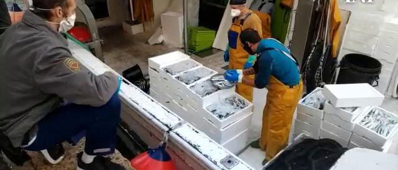 El precio del pescado azul se multiplica en la lonja al acogerse la flota de cerco a los ERTE