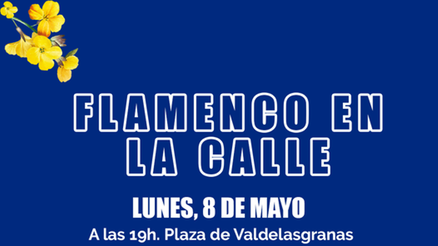Flamenco en la Calle