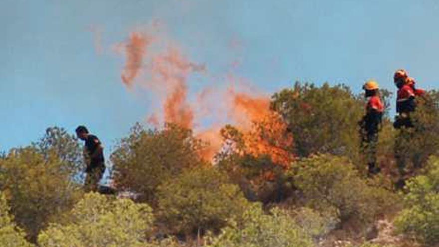 Incendio de pinos en Aspe