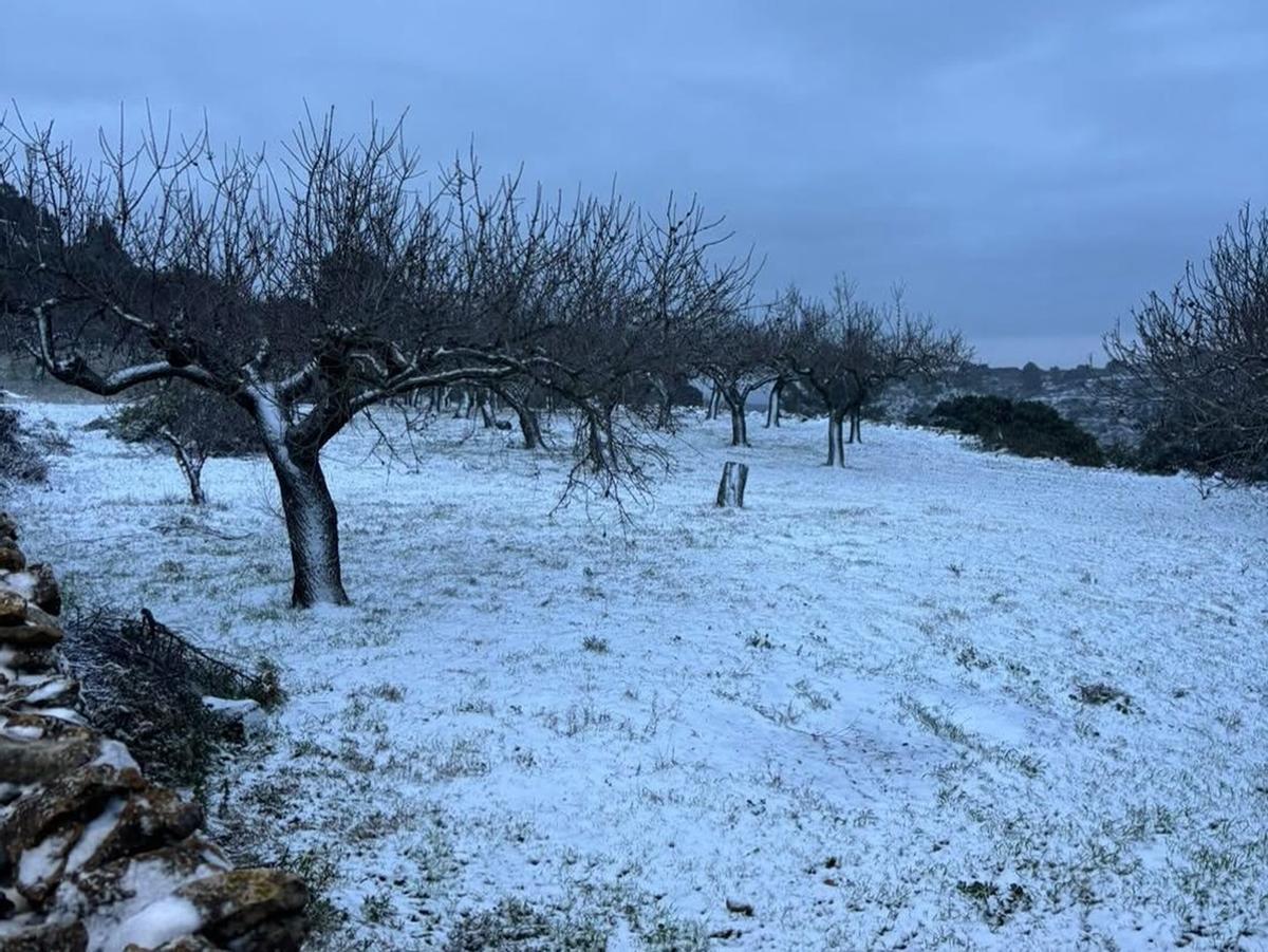 La ola de frío desplomará la cota de nieve hasta los 400 metros en València