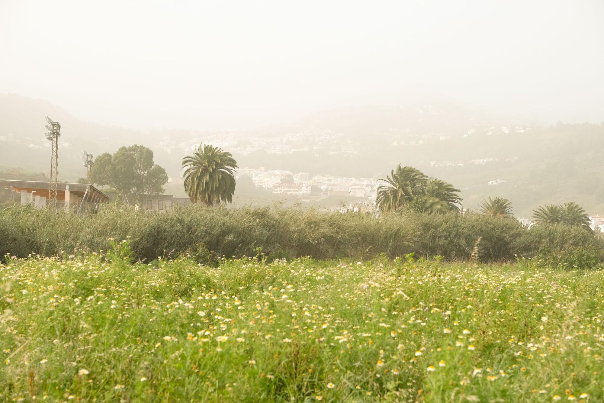 Calima en Gran Canaria