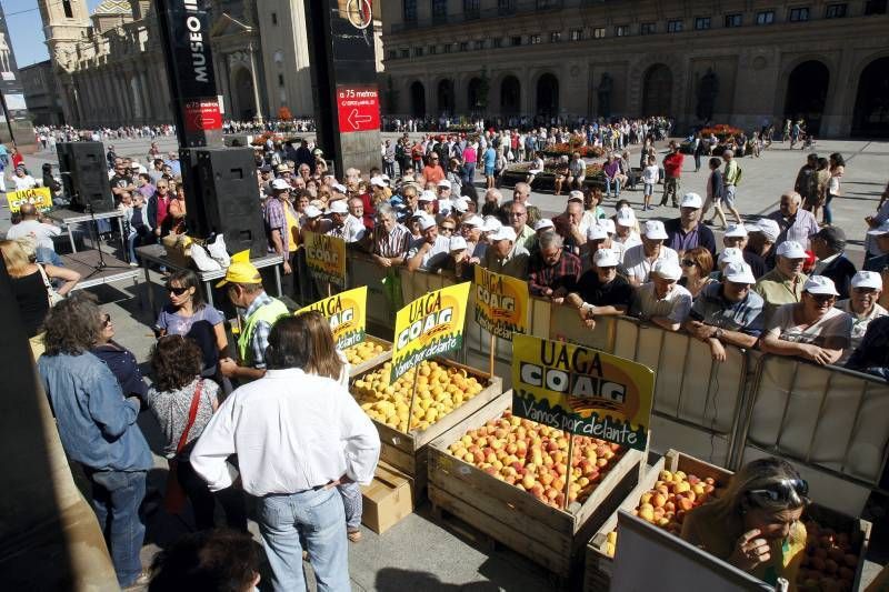 El sector reparte 4.000 kilos de fruta en la Plaza del Pilar