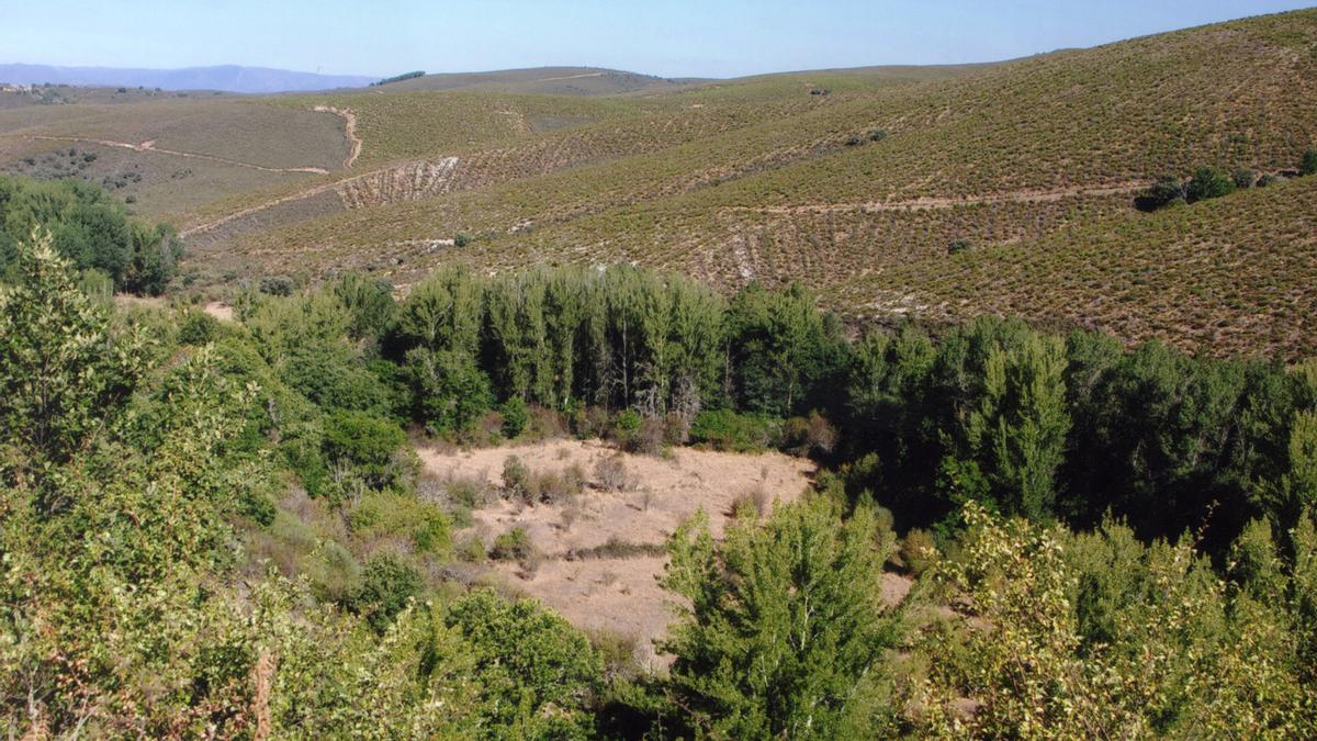 Monte en la comarca de Aliste.