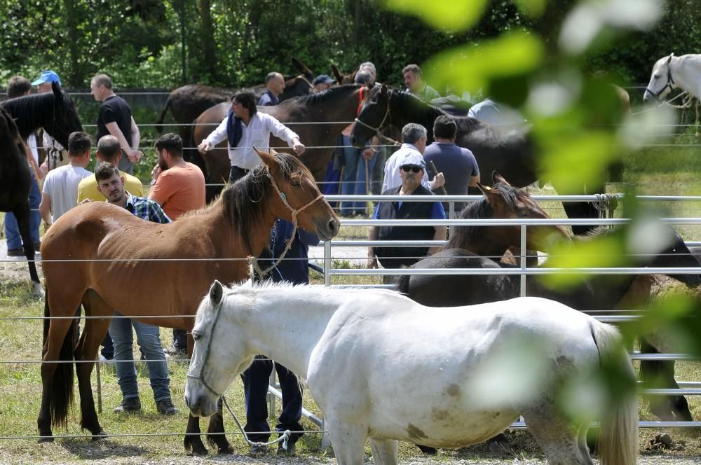 Feria de La Ascensión en Olloniego