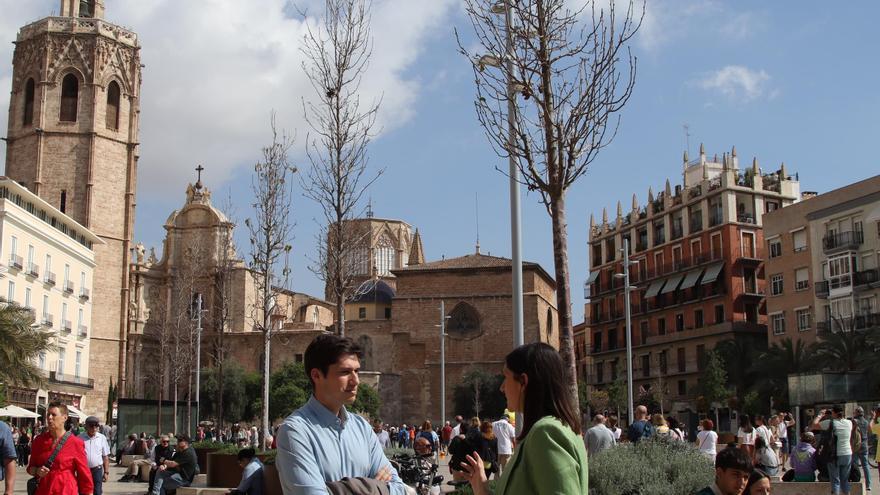 El PSPV denuncia que se han secado los árboles de la plaza de la Reina