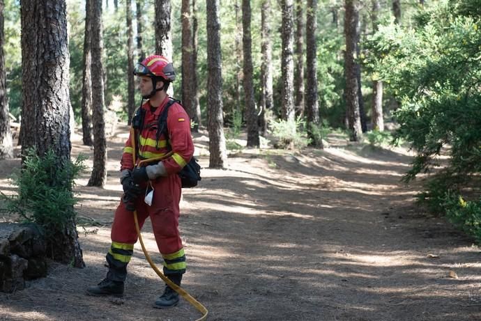 La UME realiza prácticas de prevención de incendios en Gran Canaria