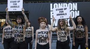 El PETA es despulla a Londres contra l’ús de les pells en la moda.