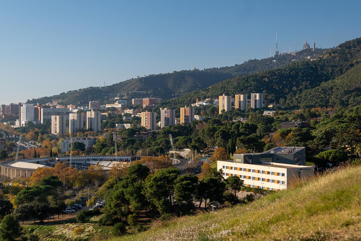 La UME se despliega para contener el brote de peste porcina