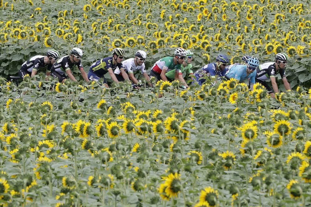 Desena etapa del Tour de França