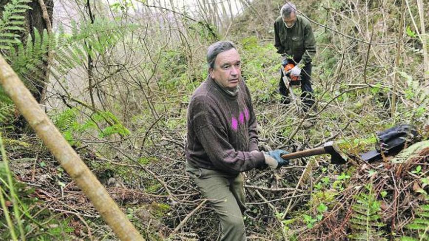 Sextaferia en el valle de Tolivia para restaurar  un viejo molino  de El Navaliegu