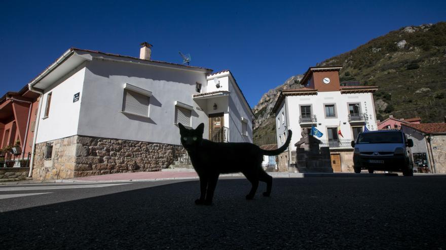 La campaña de Somiedo de ayuda a Ucrania con la que se vuelcan en todo el mundo