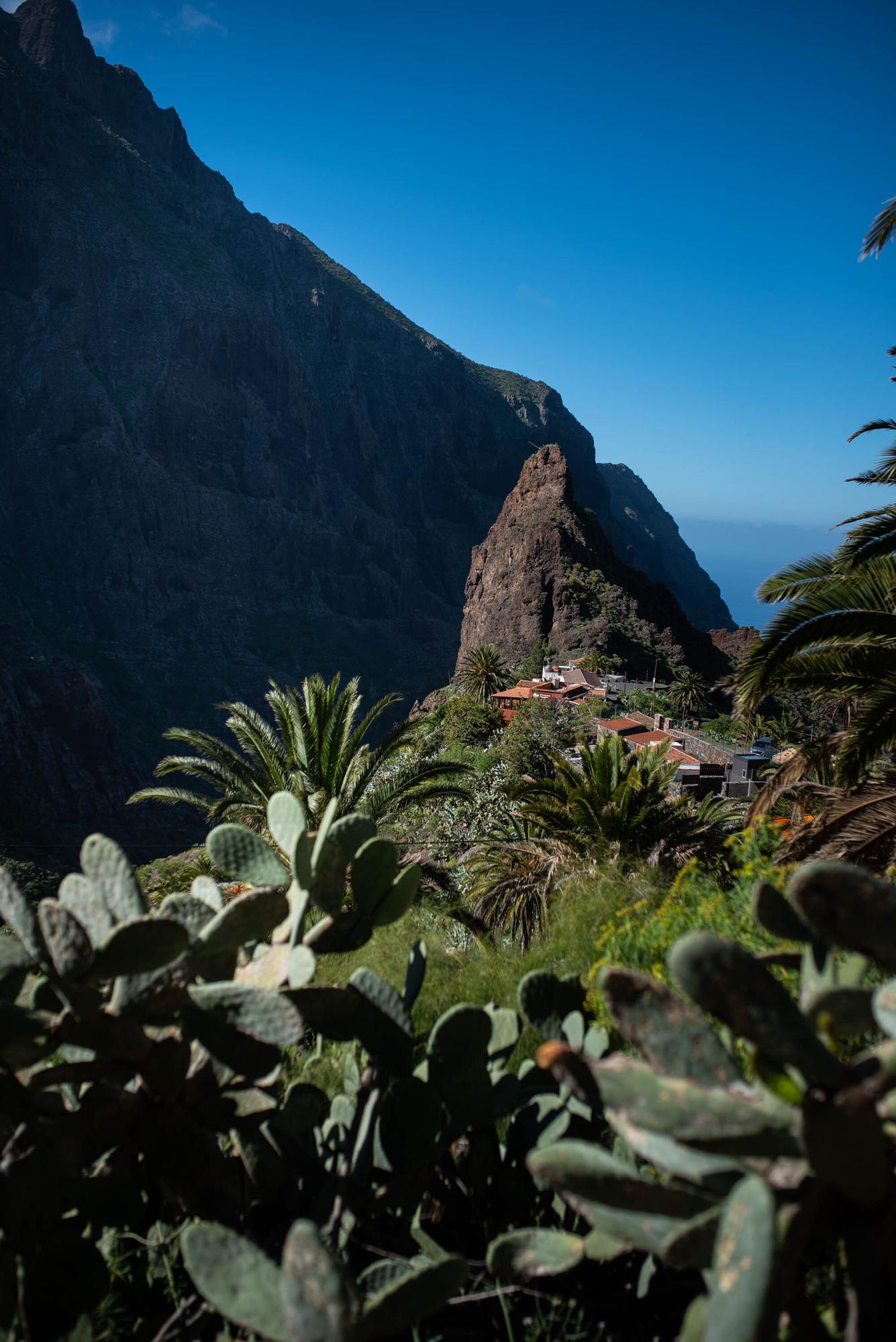 Barranco de Masca