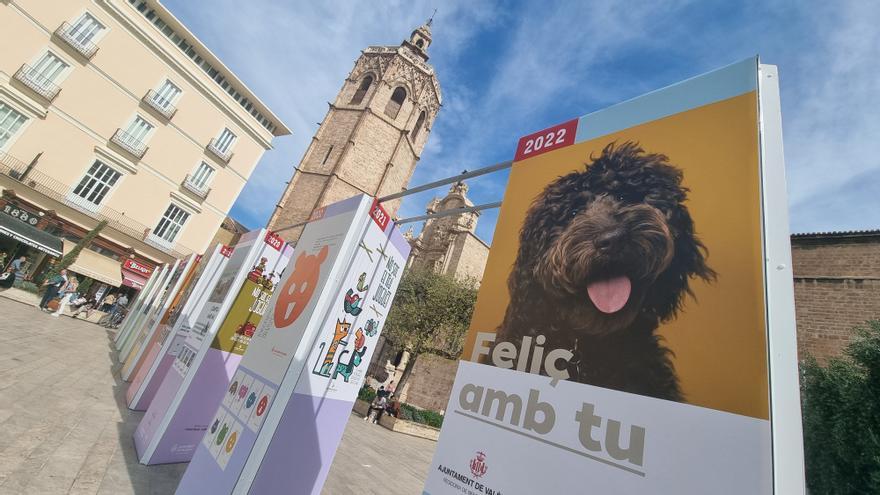 La plaza de la Reina acoge la exposición &quot;València, ciudad amiga de los animales&quot;