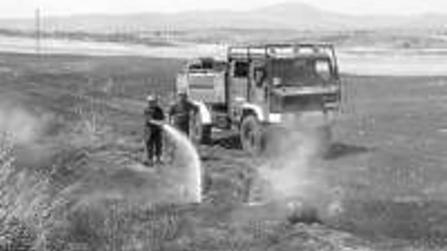 INCENDIO DE PASTOS EN ´EL CUCO´