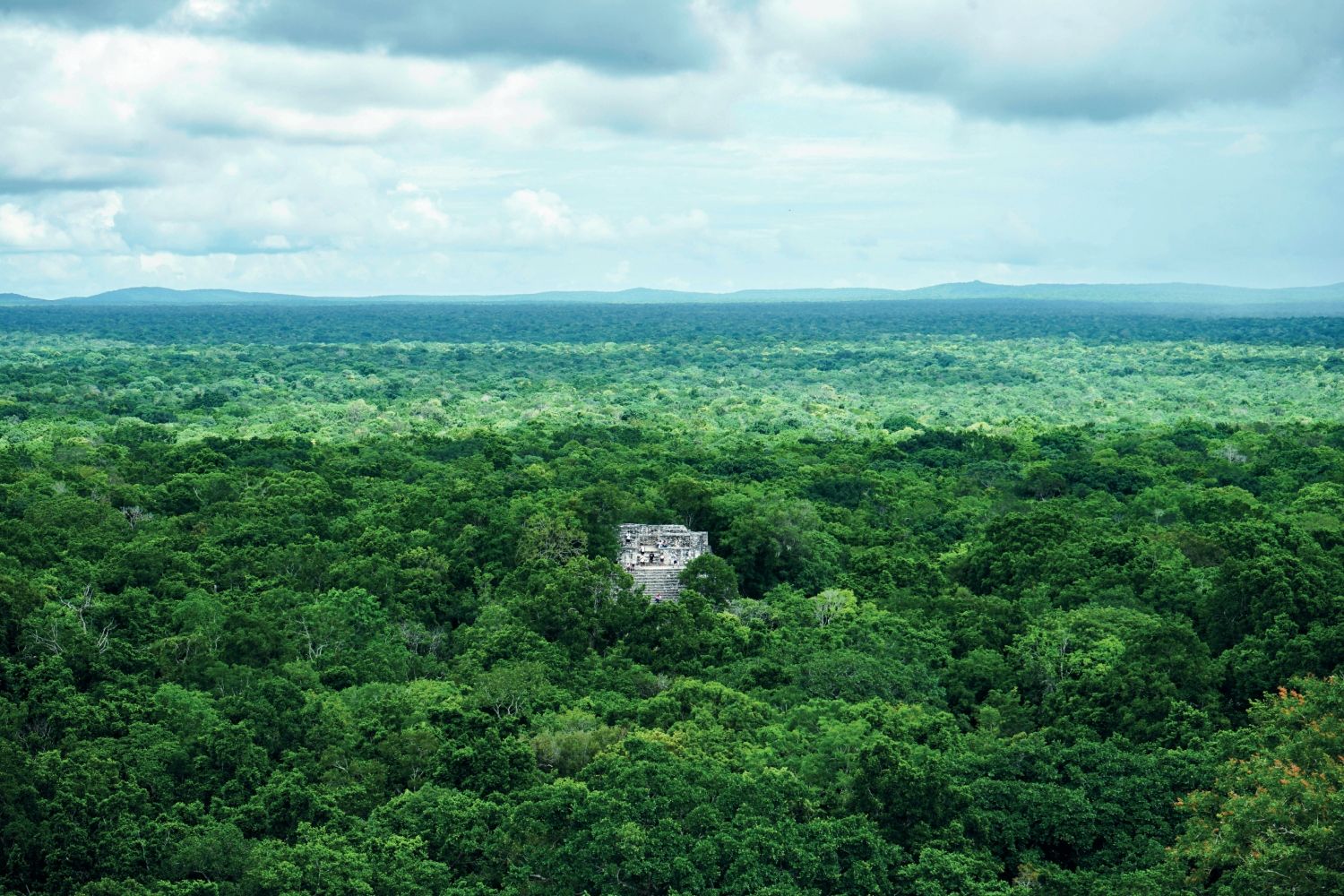 Bosques tropicales de Calakmul, México.