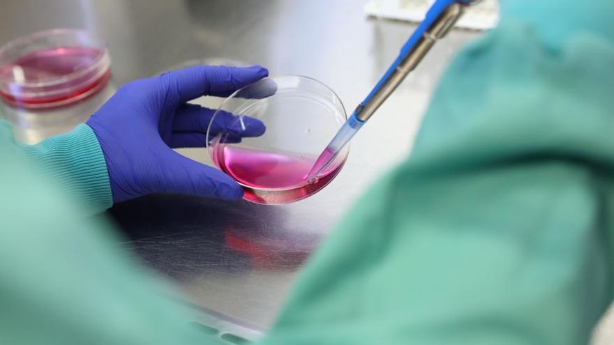 Salud investiga la trazabilidad de las fecundaciones in vitro tras un presunto error en Cádiz