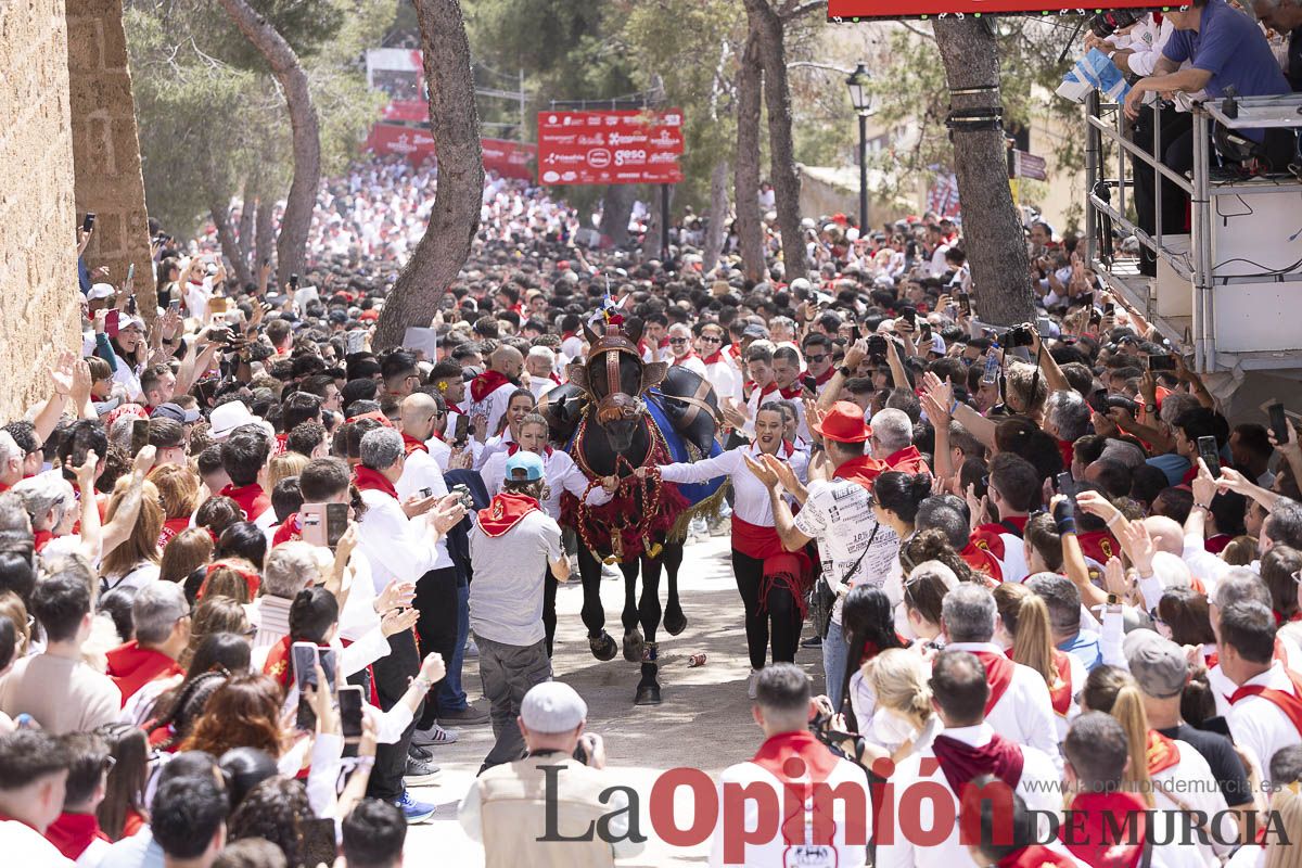Así se ha vivido la carrera de Los Caballos del Vino en Caravaca