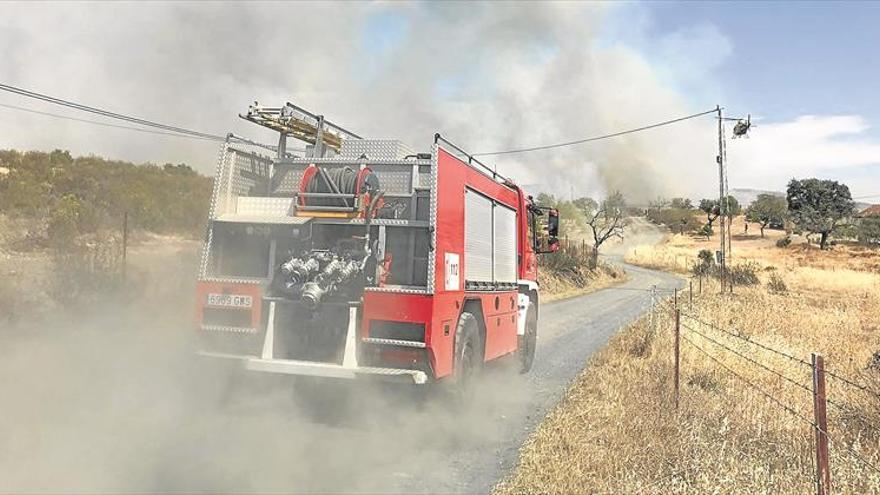 El Pleno acuerda pedir un estudio para la reforestación de Villafatigas