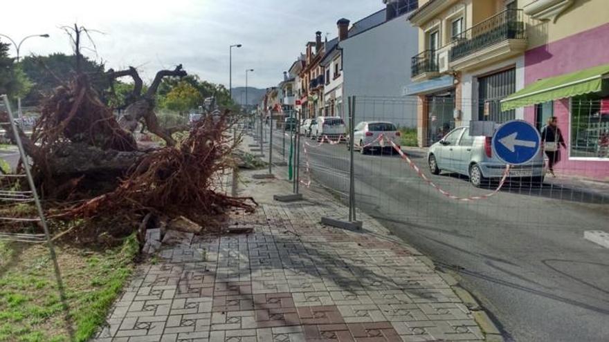 Alhaurín dobla las plazas de parking en la avenida El Limón