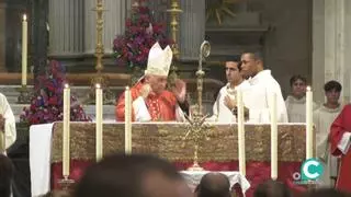 Abusos en la Iglesia con León XIV