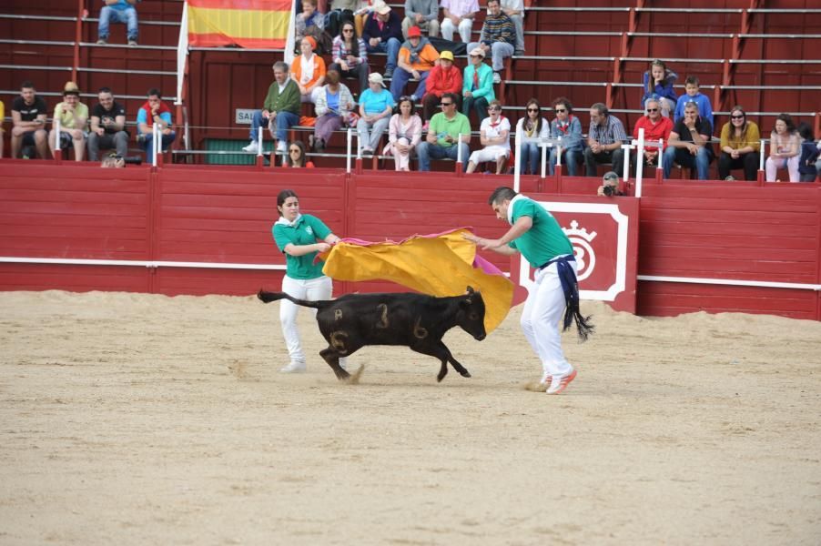 Becerrada, encierros y vaca de la sangría