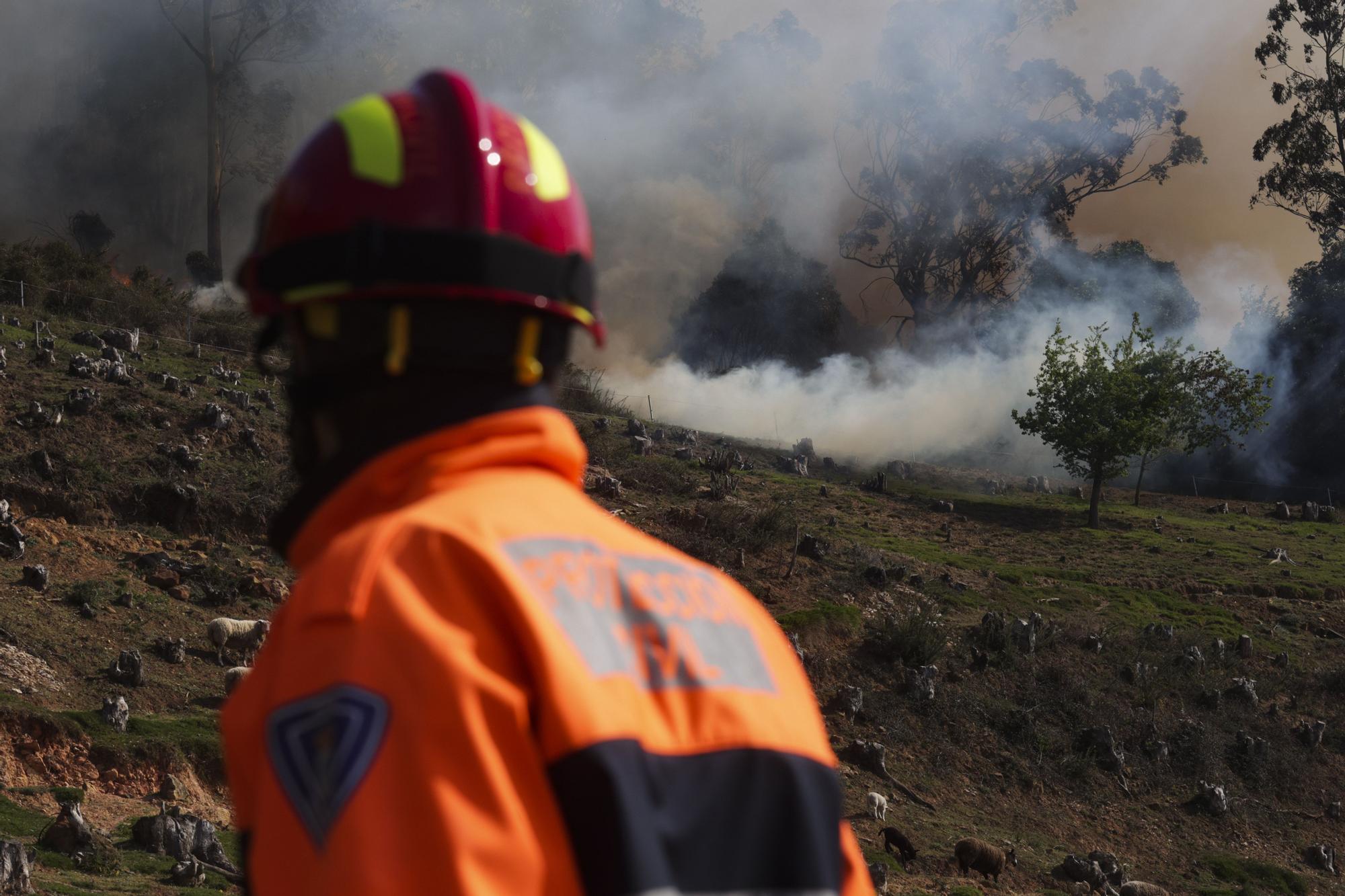 Los bomberos trabajan en el monte Naranco contra las llamas