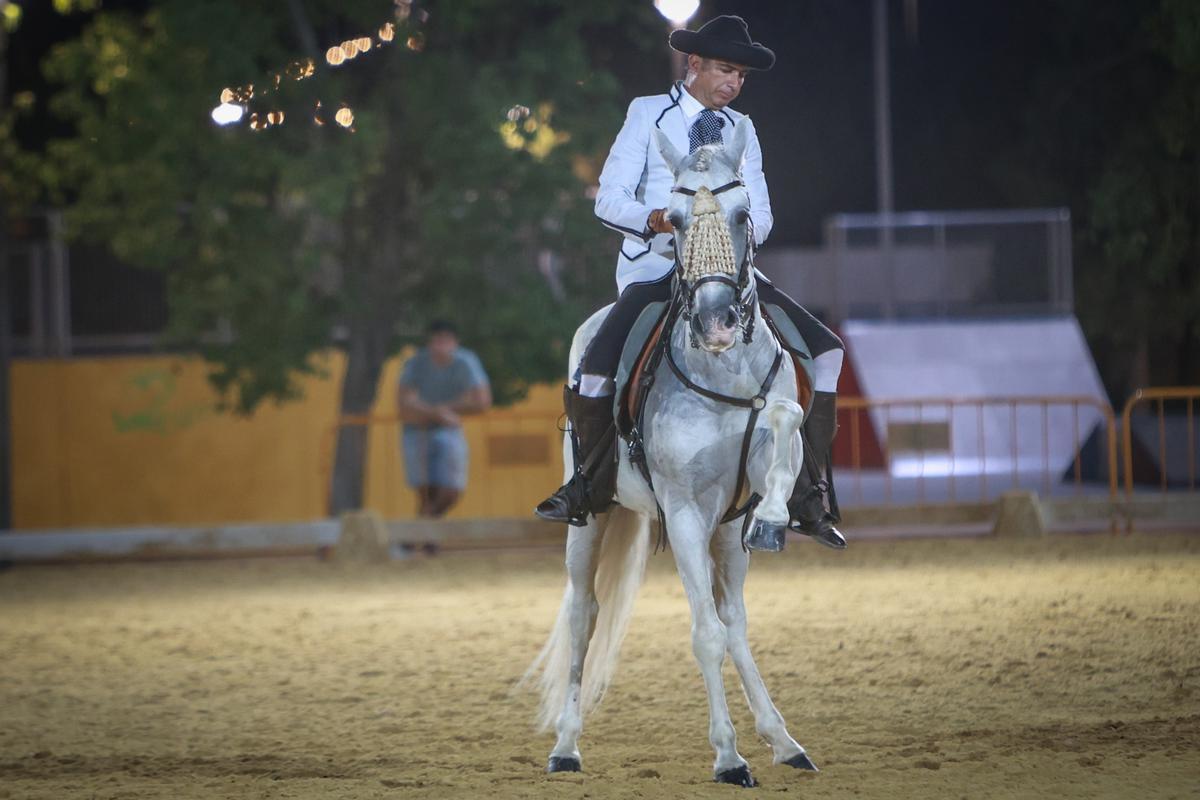 Así ha sido la Feria de Ganado de Dolores