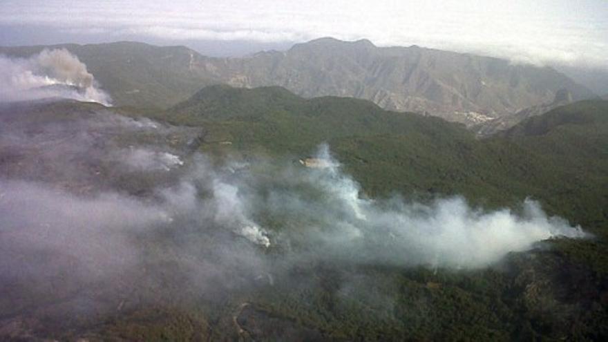 Desastre ecológico en el Parque Nacional de Garajonay