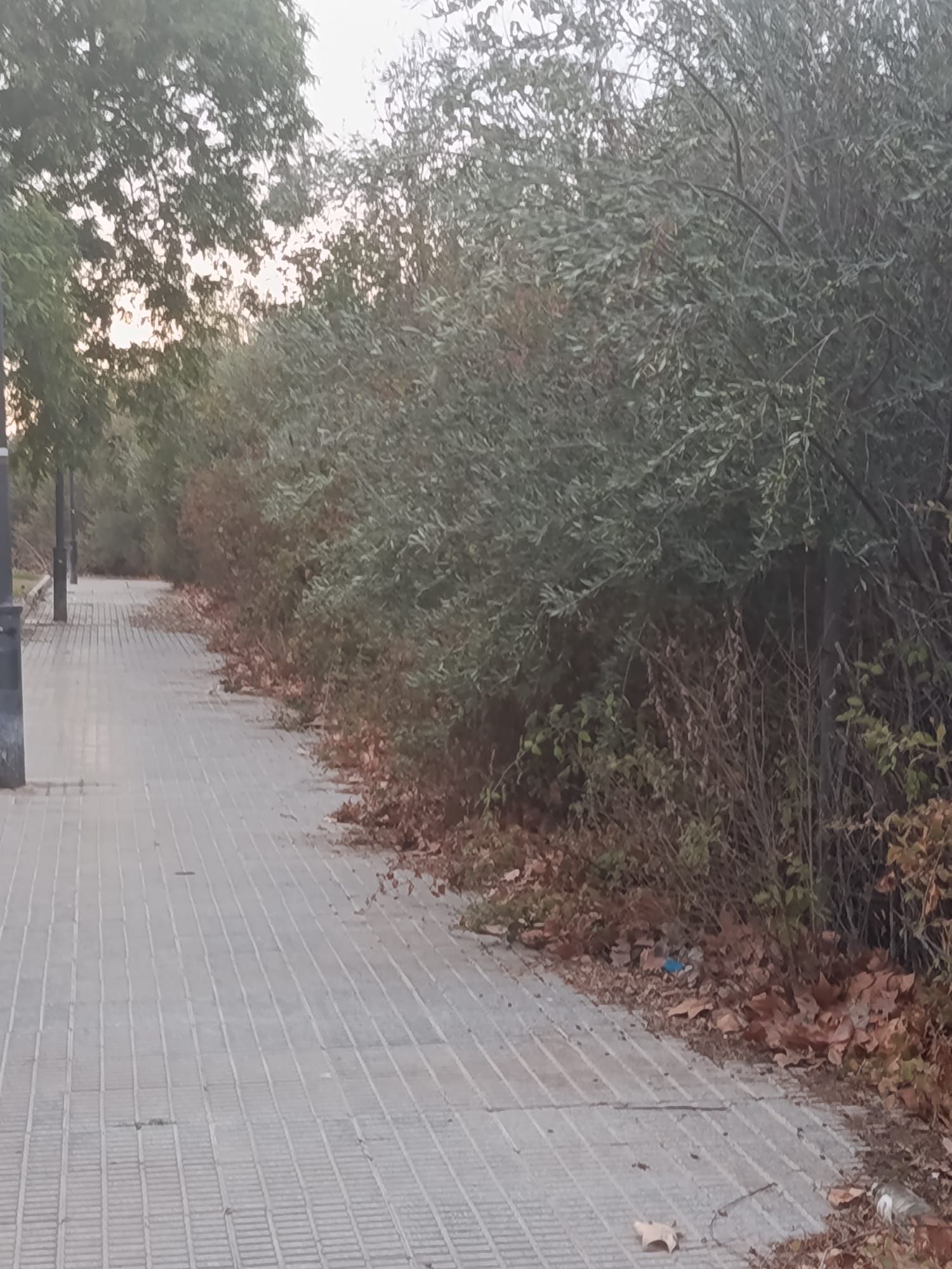 WhatsApp Image 2025-09-30 at 21.34.53 (2).jpeg