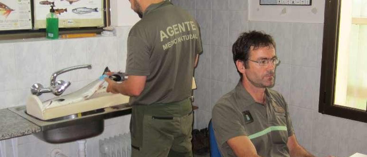 David García precinta un salmón en el centro del río Narcea La Rodriga, en Cornellana (Salas), junto a Ángel Díaz Álvarez.