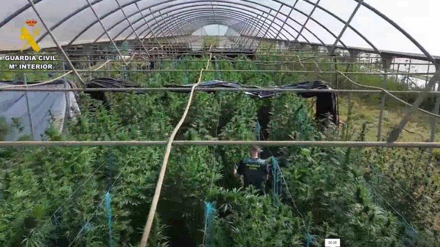 Incautan en Melide el mayor alijo de marihuana del año en Galicia: más de 2 toneladas