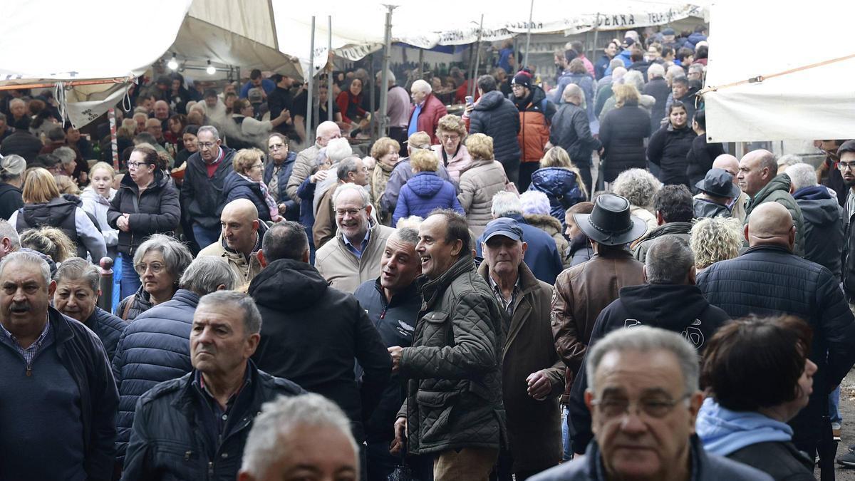 Feira cabalar do San Martiño, en Teo.