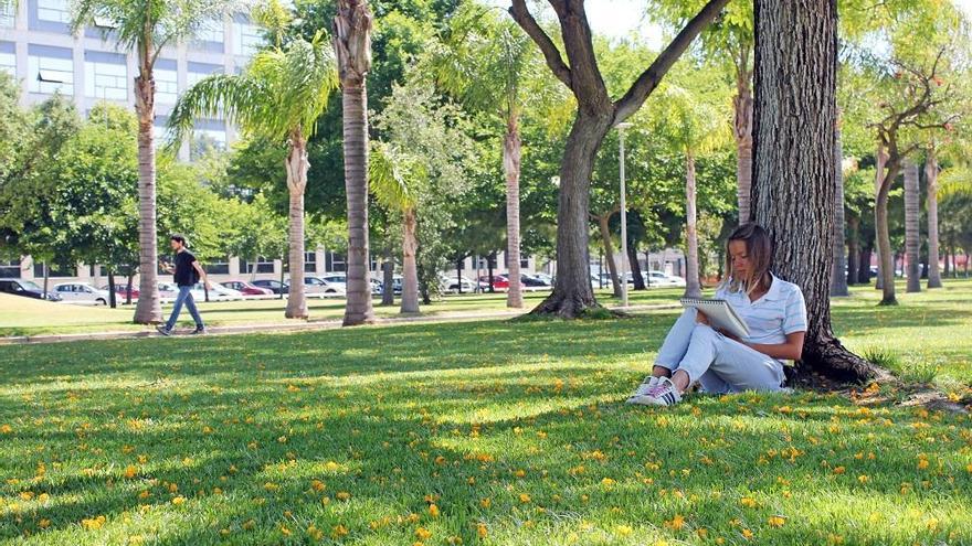 Campus de la UPV.