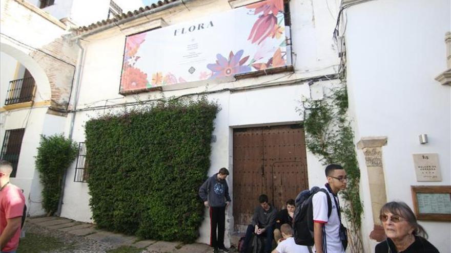 El proyecto de la calleja de las Flores, con informe favorable