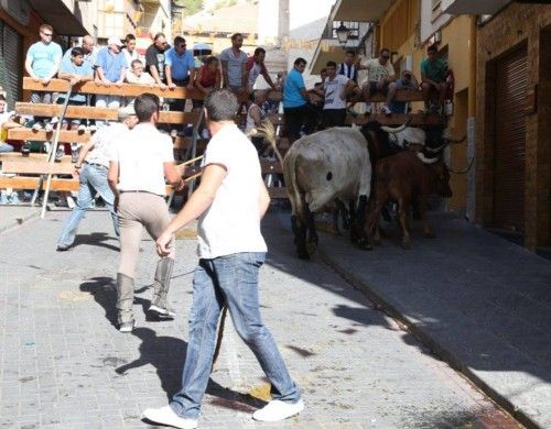 Segundo Encierro de las Fiestas de Moratalla por vereda