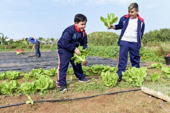 Visita escolar a la Granja Agricola del Cabildo