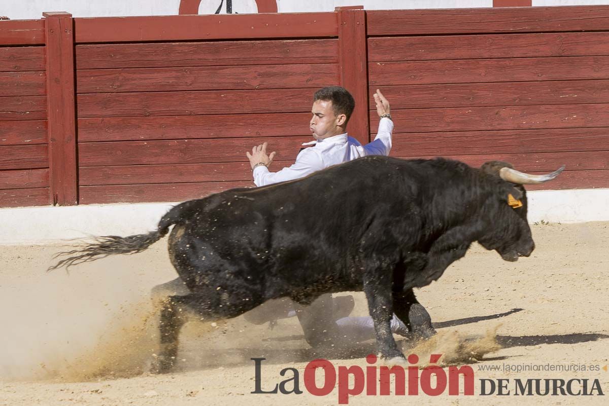 Concurso de recortadores en Caravaca de la Cruz