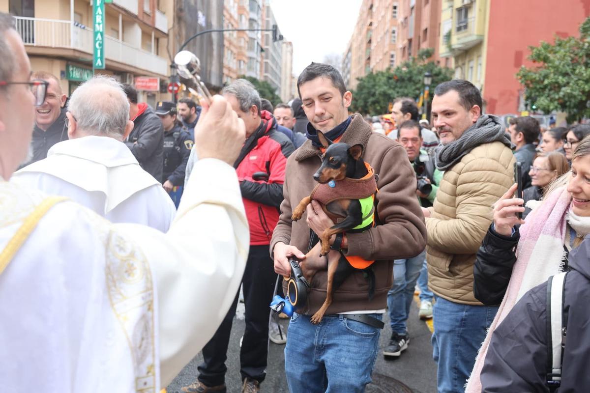 Bendición de animales por Sant Antoni en la calle Sagunt de València
