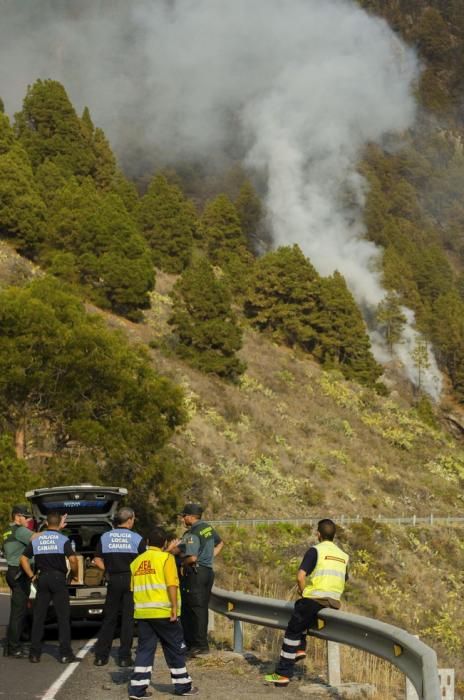 INCENDIO EN LA PALMA