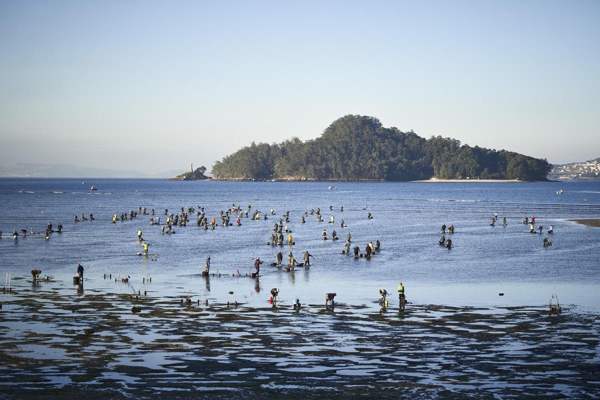 Mariqueo en la Ría de Pontevedra frente a la biofábrica de Ence.